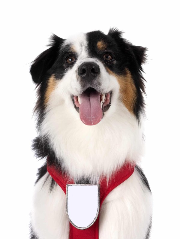 Les meilleures astuces pour personnaliser votre espace de travail à domicile