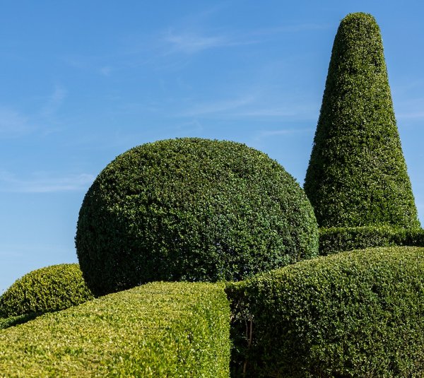 Comment créer un espace jeux pour enfants dans votre jardin ?